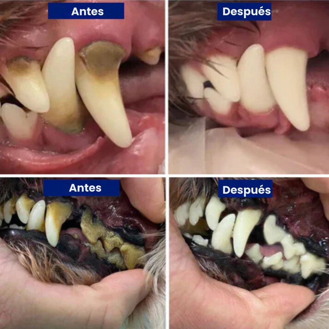 Canident® - Limpiador dental sónico para perros