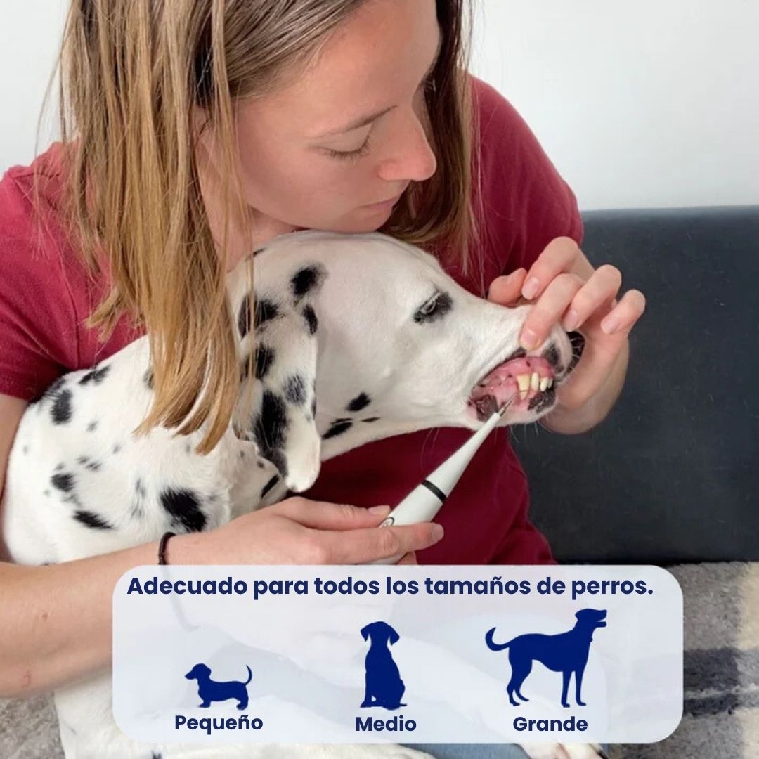 Canident® - Limpiador dental sónico para perros