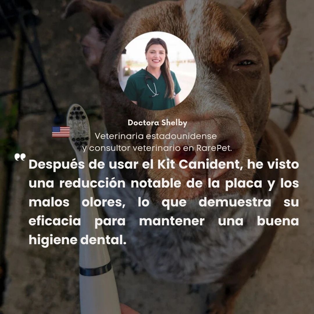 Canident® - Limpiador dental sónico para perros