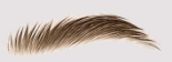 Lápiz de cejas BrowPro® 🔥¡Compra 1 y llévate 1 GRATIS!